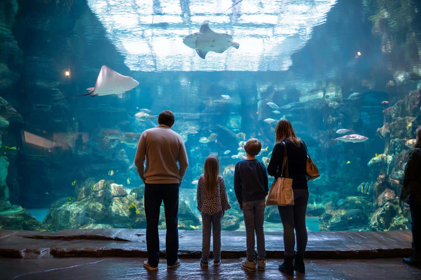 avis aquarium lyon facade entree