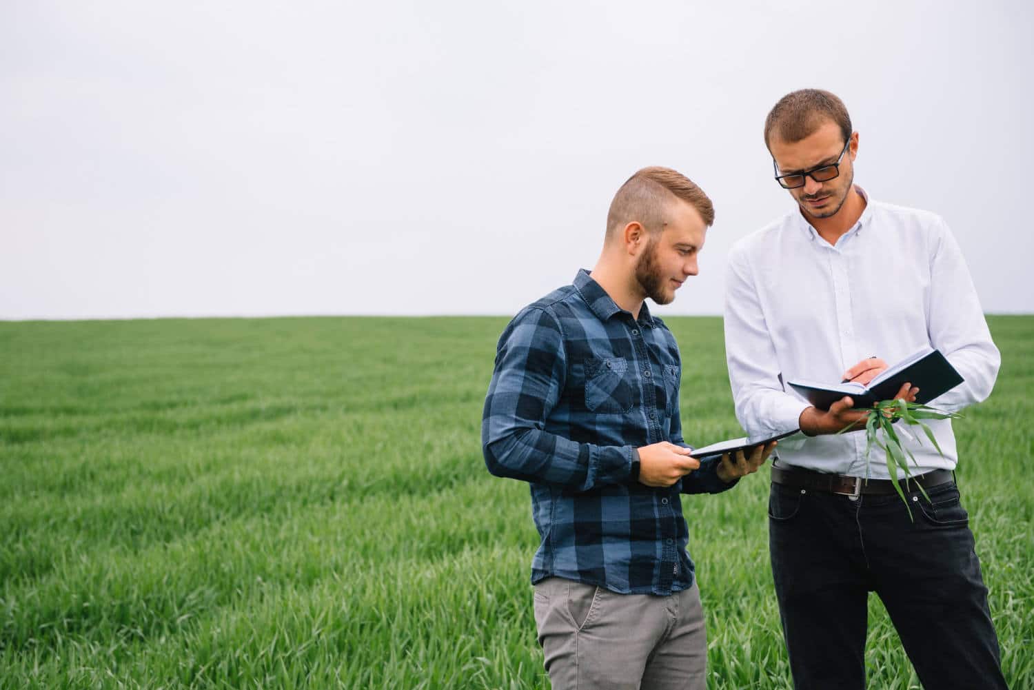 terrain agricole frais notaire
